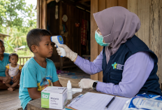 Kasus Malaria di Indonesia Capai Ratusan Ribu, Deteksi dan Pengobatan Diperkuat
