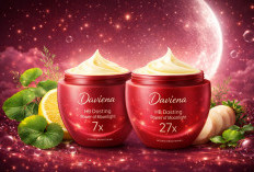 Mengulas HB Daviena 7x dan 27x: Spesifikasi, Harga, dan Potensi