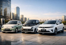 3 Mobil Listrik Wuling Terbaik 2025 Paling Worth It untuk Masa Depan Berkendara, Ada Pilihanmu? 