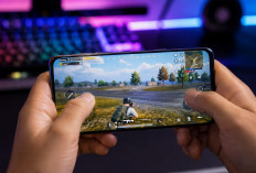 Visual Super Mulus! HP dengan Layar Terbaik Ini Siap Temani Push Rank