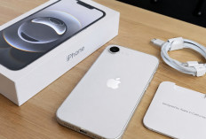 iPhone 17e Resmi Jadi Pilihan Baru, Ini Detail Spesifikasi Lengkapnya