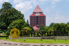 Mau Kuliah di UI? Ini Daftar Fakultas, Jalur Masuk dan Biayanya