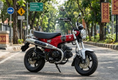 Honda Dax 125, Motor Klasik dengan Rangka T-Shape yang Unik