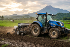 Sawah Tanpa Lumpur? Teknologi Ini Ubah Wajah Pertanian Masa Depan!