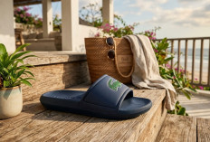 Investasi Gaya Kasual: Mengapa Sandal Lacoste Menjadi Incaran Pecinta Fashion Urban?
