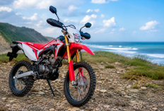 Motor Trail Honda CRF150L 2026, Cek Harga, Mesin hingga Keunggulannya