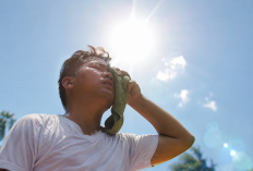 Dampak Cuaca Panas Ekstrem terhadap Kesehatan Jadi Sorotan, Indonesia Luncurkan Program KATALIS-HEAT