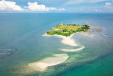 Pulau Maspari, Pulau Berpasir Tunggal di Sumsel yang Menyimpan Pesona Alam dan Konservasi Penyu