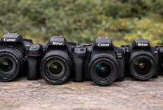 Rekomendasi Kamera DSLR Terbaik 2026 dan Harganya
