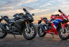 Mengenal Honda CBR150R dan CBR250RR, Pilihan Motor Bergaya Balap