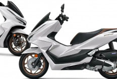 Honda PCX 2026: Update Harga, Warna, dan Fitur Lengkap