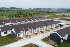 Dukung Hunian Terjangkau, BRI Kucurkan KPR Subsidi Hingga Rp16,16 Triliun