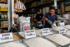 Produksi Beras Diperkirakan Menurun, Bagaimana Dampaknya terhadap Harga Pangan?