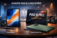 Harga Global Sudah Rilis, Berapa Prediksi Xiaomi Pad 8 Series di Indonesia?