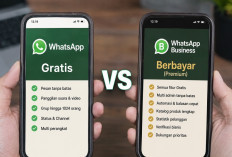WhatsApp Berbayar Dan WhatsApp Gratis, Ini Perbedaan Fitur yang Anda Harus Diketahui