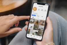 Follower Instagram Hilang Mendadak? Ini Penyebab yang Sedang Terjadi