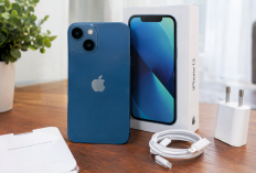 iPhone 13 Masih Jadi Pilihan, Simak Harga, Kamera, dan Performanya