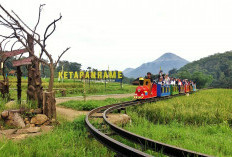 BRI Perluas Program Desa BRILiaN untuk Mendorong Pembangunan Ekonomi Desa yang Berkelanjutan