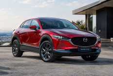 Mazda CX-30 Rakitan Indonesia Resmi Hadir, Ini Harga dan Fiturnya