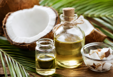 Tak Perlu Mahal, Minyak Kelapa Punya 4 Manfaat Luar Biasa untuk Rambut