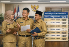 Berlaku Maret 2026: Ini Perbandingan Gaji  PNS, PPPK, dan Paruh Waktu