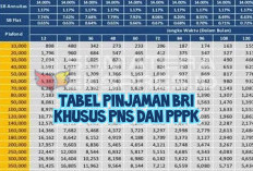Tabel Pinjaman Bank BRI untuk PNS dan PPPK, Bunga Ringan dan Tenor Fleksibel Hingga 15 Tahun
