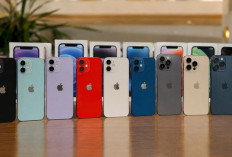 Update Harga iPhone Second Mei 2026, Mulai 3 Jutaan hingga Belasan Juta