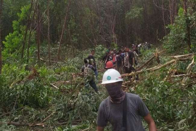 Detik-Detik Wanita Tewas Diterkam Harimau Sumatra saat Menunggu Suaminya Mandi