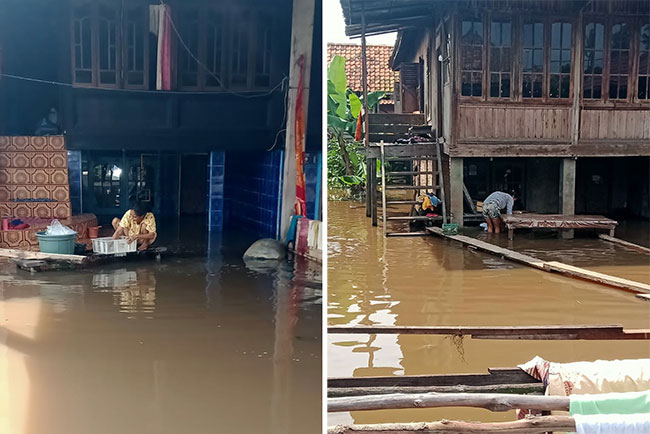 Tak Kunjung Surut, Banjir di Desa Tanjung Serang Sudah Genap Satu Minggu