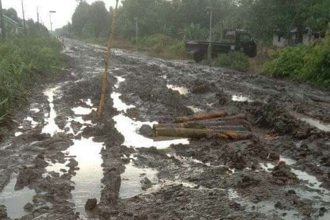 Jalan Jalur Rusak Parah, Warga Bercanda: Tinggal Tabur Padi