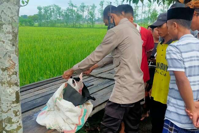 Warga Heboh Temukan Jasad Bayi, Ada Kertas Tulisan “Tolong Dikuburkan”