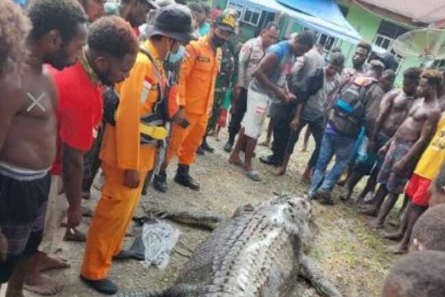 Potongan Tubuh yang Hilang Ditemukan Dalam Perut Buaya