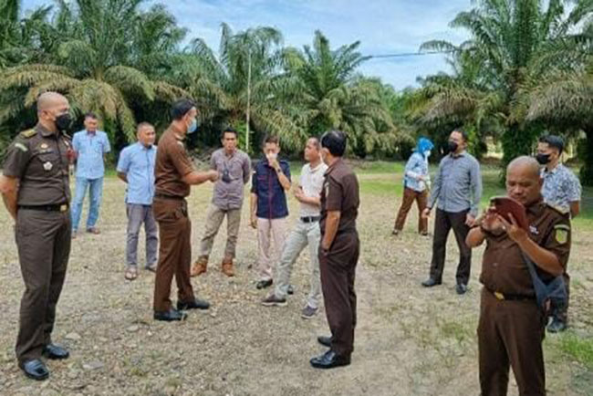 Kejati Sumsel Geledah Kantor Perkebunan, Ini Kata Disbunnak OKI