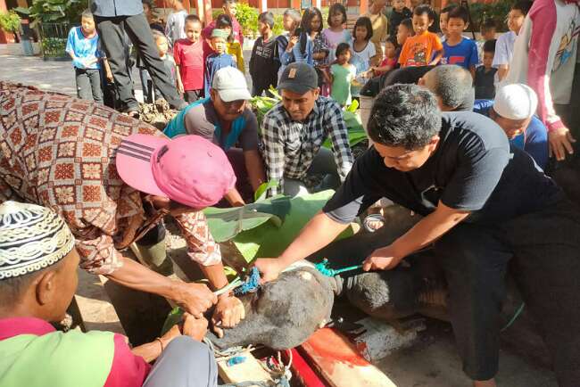 Kurban Ditunaikan, 5 Hewan Dipotong