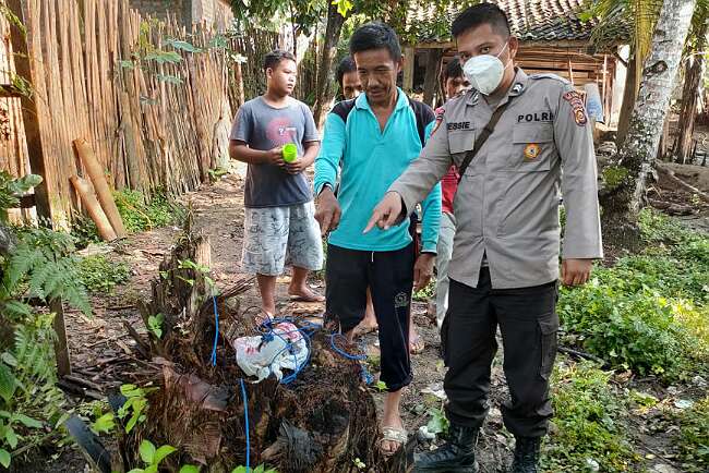 Dirut Sumeks-RBM Grup Nikahkan Putri, Mantan Wagub Jadi Saksi