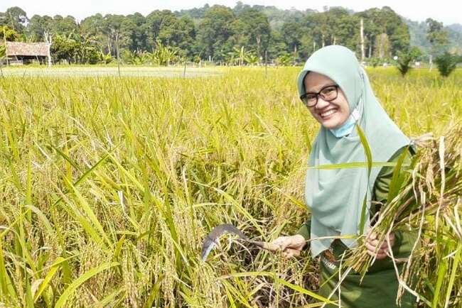 Kata Soleha Seru Jadi Penyuluh Pertanian