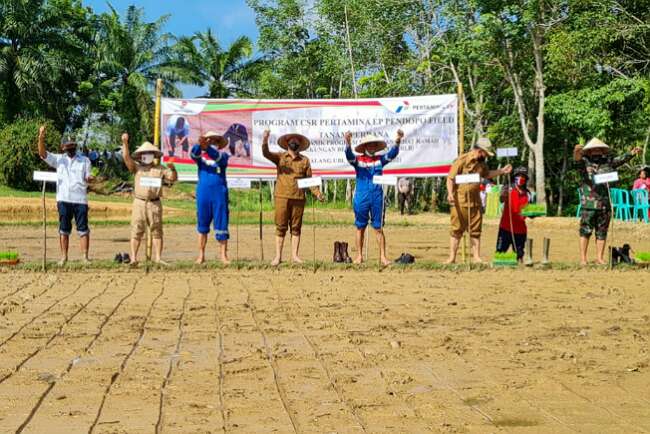 Petani Binaan Pertamina di PALI Tanam Padi SRI Organik