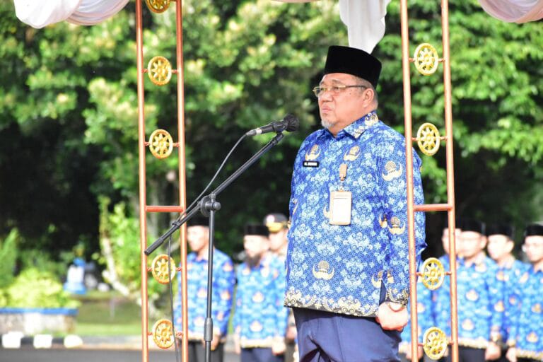 Purna Tugas, Sekda OKI H Husin Minta Maaf dan Titip Pesan Ini !