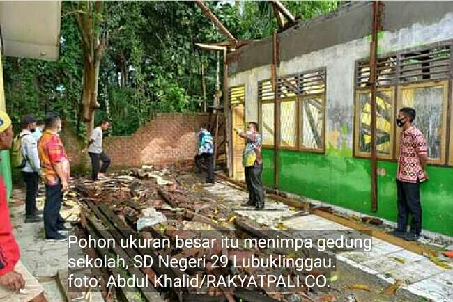 Pohon Tumbang Timpa SD Negeri 29 yang Sedang Direhab