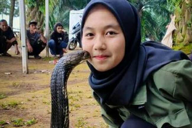 Gadis Bandung 2 Tahun Bersama King Kobra, Kini Panjang Ular Sudah 4 Meter