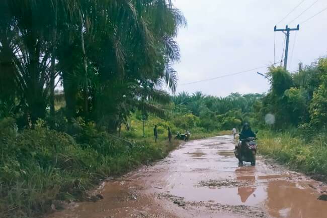 Masih Berkubang Lumpur, Warga Dambakan Janji Gubernur Sumsel