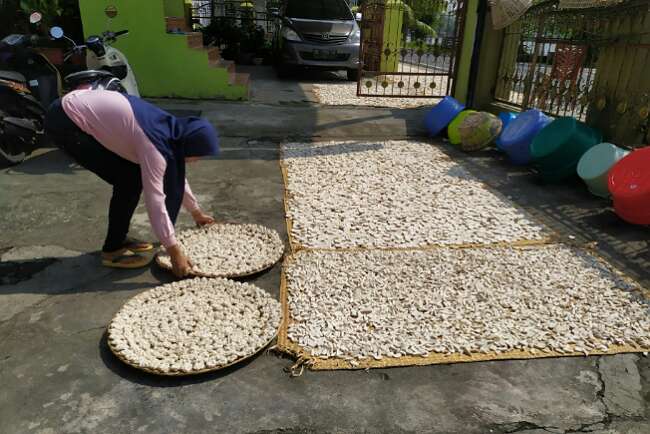 Musim Penghujan Jadi Kendala Pengeringan Kerupuk Kemplang