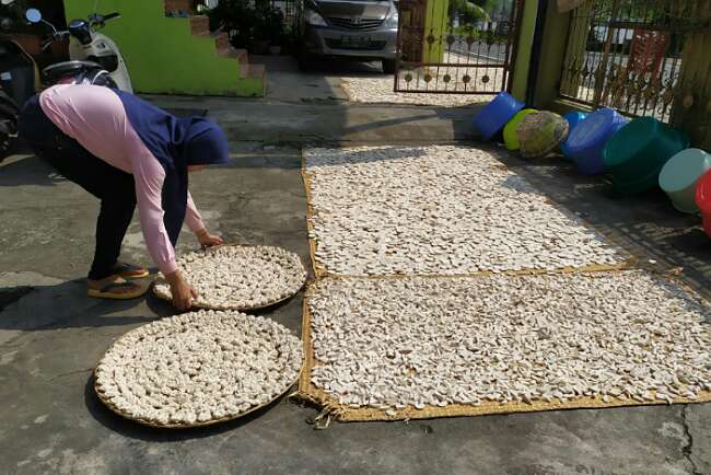 Musim Penghujan Jadi Kendala Pengeringan Kerupuk Kemplang