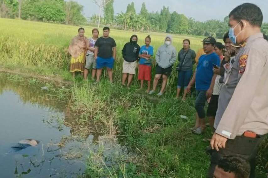 Infonya Polisi Berhasil Tangkap Pembunuh Wanita yang Ditemukan di Sawah