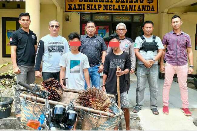 2 Remaja Diamankan Curi Buah Kelapa Sawit