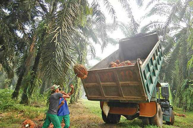 Karyawan Perusahaan Tunggu Realisasi BSU