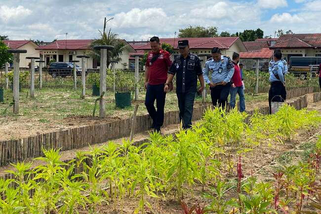 Jalin Silaturahmi, Lapas Kayuagung Berbagi Ilmu Perkebunan