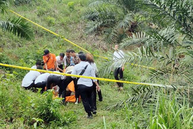 Anggota TNI Serka Halil Putra Tewas dengan Tubuh Penuh Luka Bacok, Ditemukan di Perkebunan Sawit