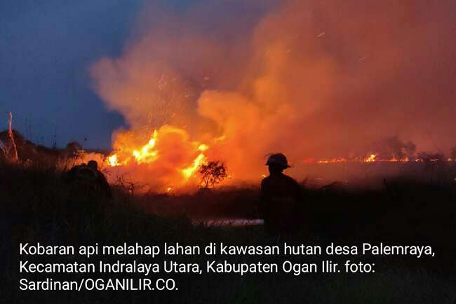 Karhutla Kembali Berkobar di Desa Palemraya Ogan Ilir