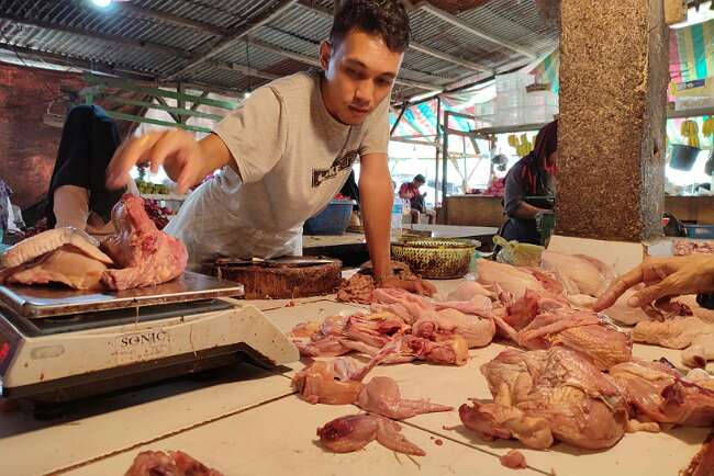 Harga Ayam Potong Masih Tinggi, Ini Kata Kadisdag Palembang…